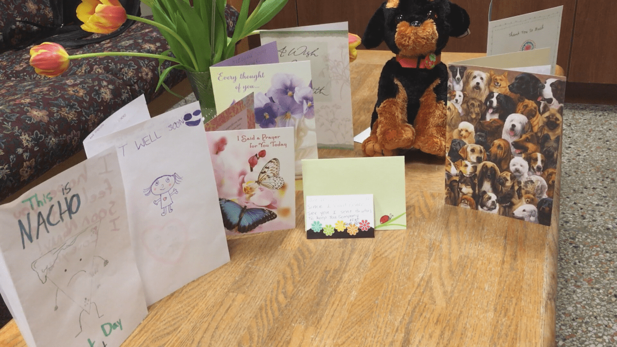 Some of the cards Rushton has received in hospital from friends and family from the dog park
