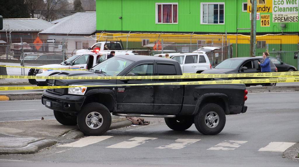 RCMP are investigating a fatal collision in Surrey.
