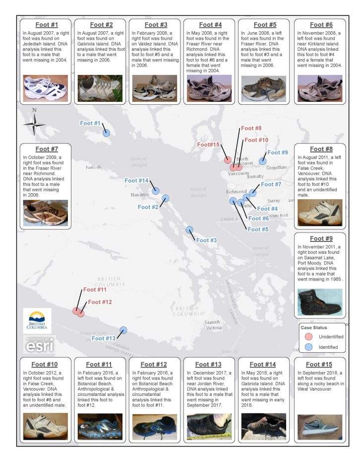 Another disarticulated foot washes up on B.C. beach - image