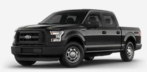 Hamilton police searching for missing vehicle and dog - image