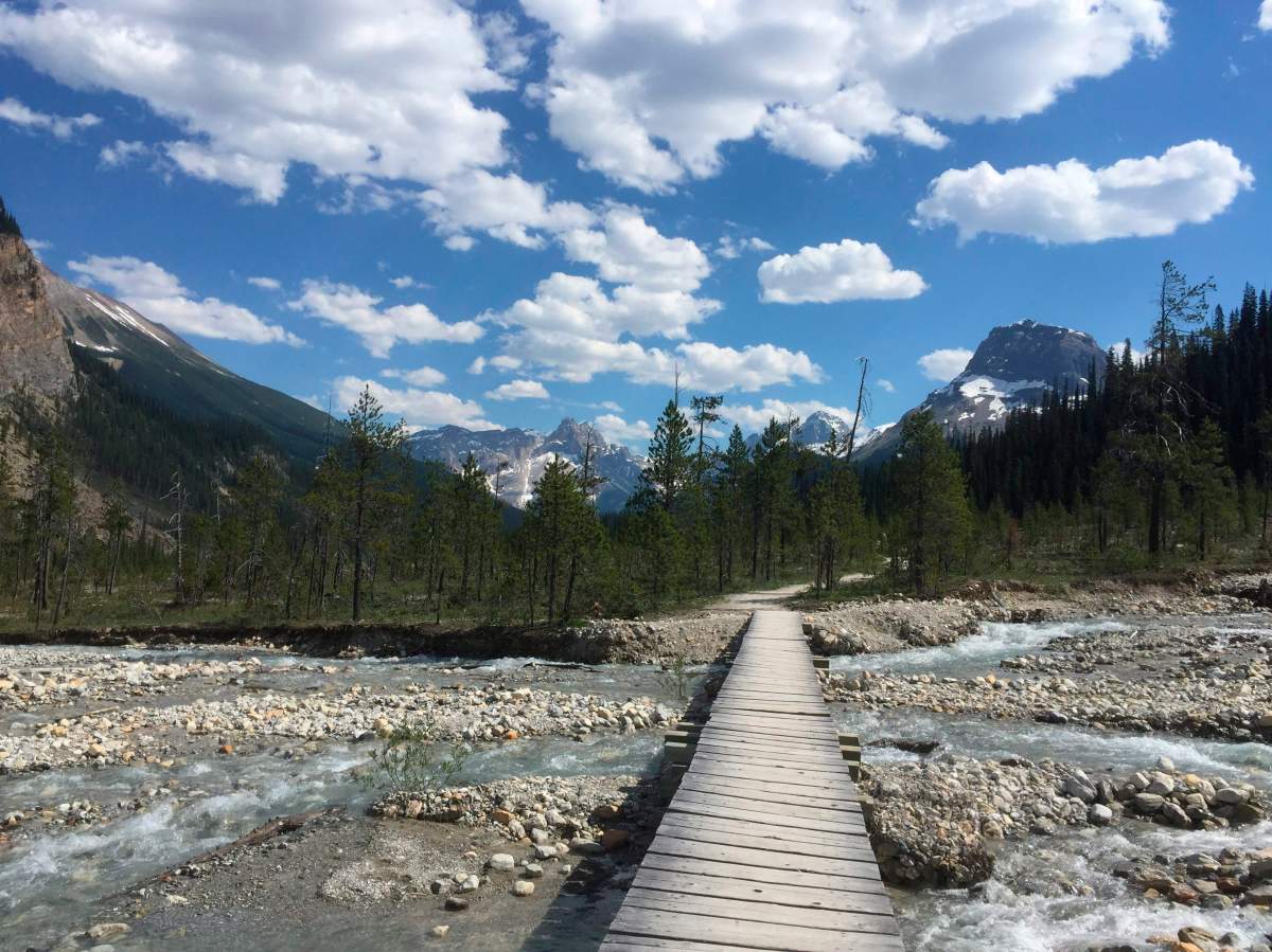 In this July 6, 2017 photo, a bridge crosses a stream along the Iceline Trail in Yoho National Park in Canada's stretch of the Rocky Mountains, straddling the border of British Columbia and Alberta. 