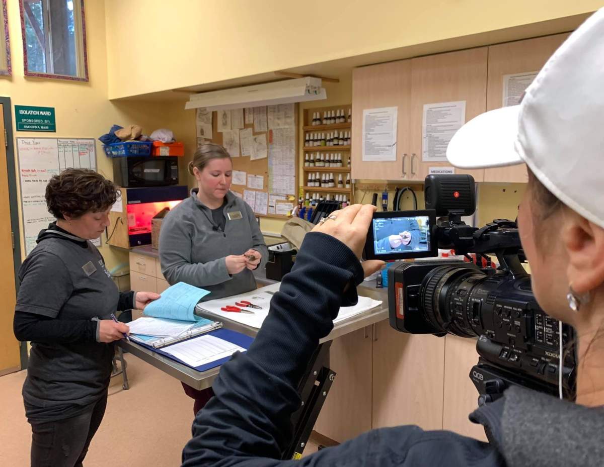 In addition to Wild ARC staff, the wildlife rehab centre relies on more than 200 volunteers to keep the facility up and running.