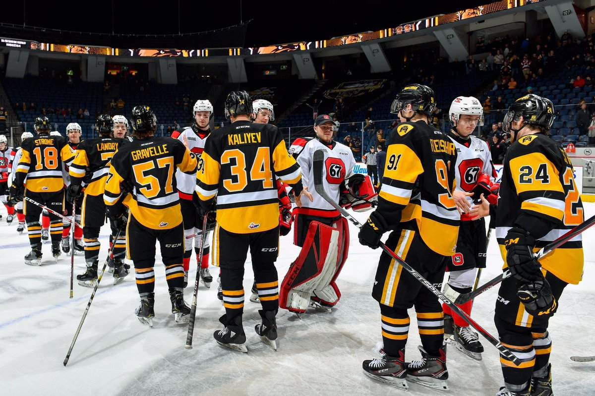 The Ottawa 67's eliminated the Hamilton Bulldogs from the 2019 OHL playoffs in four games.