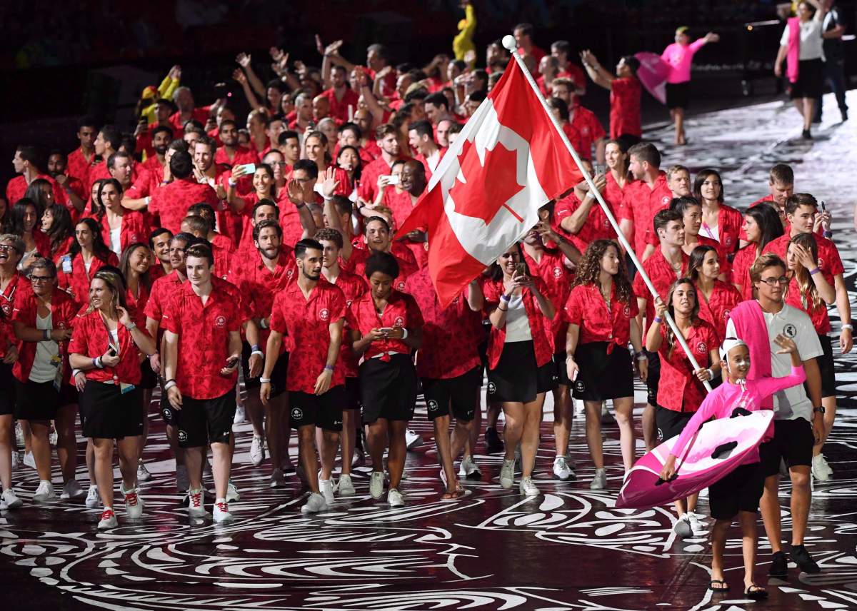 A group of Hamilton residents will pitch city council on the idea of hosting the 2030 Commonwealth Games on Wednesday.