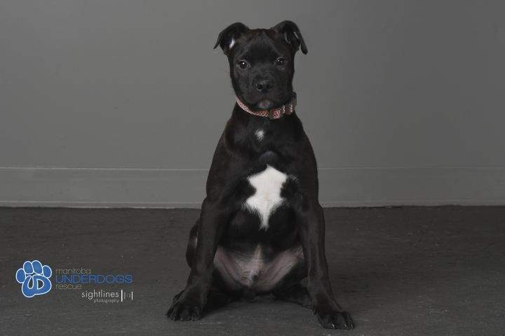 Captain Crunch is looking for his new family.