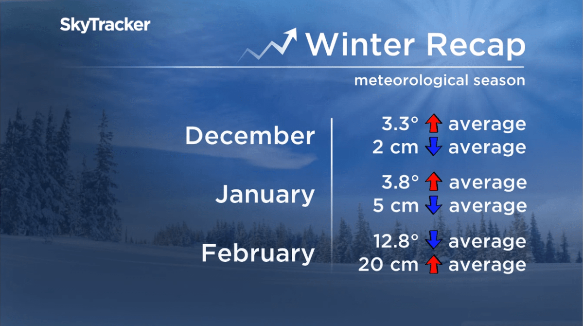 Winter in Calgary came in like a lamb, out like a lion - image