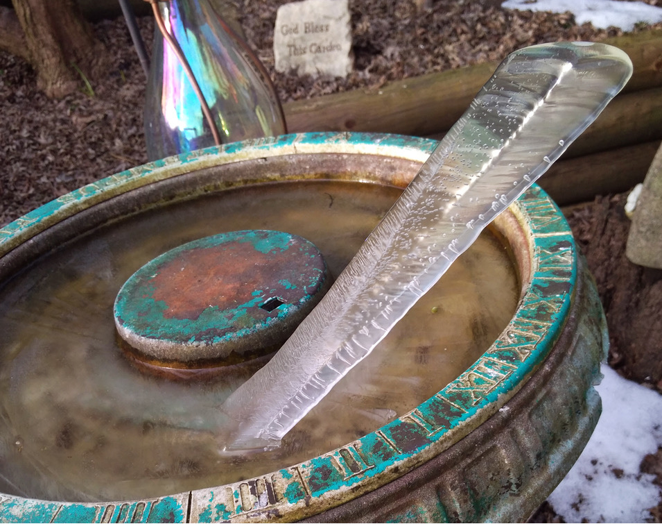 Ice spike found Tuesday morning on March 5th 2019 in New Westminster by Tony Deise