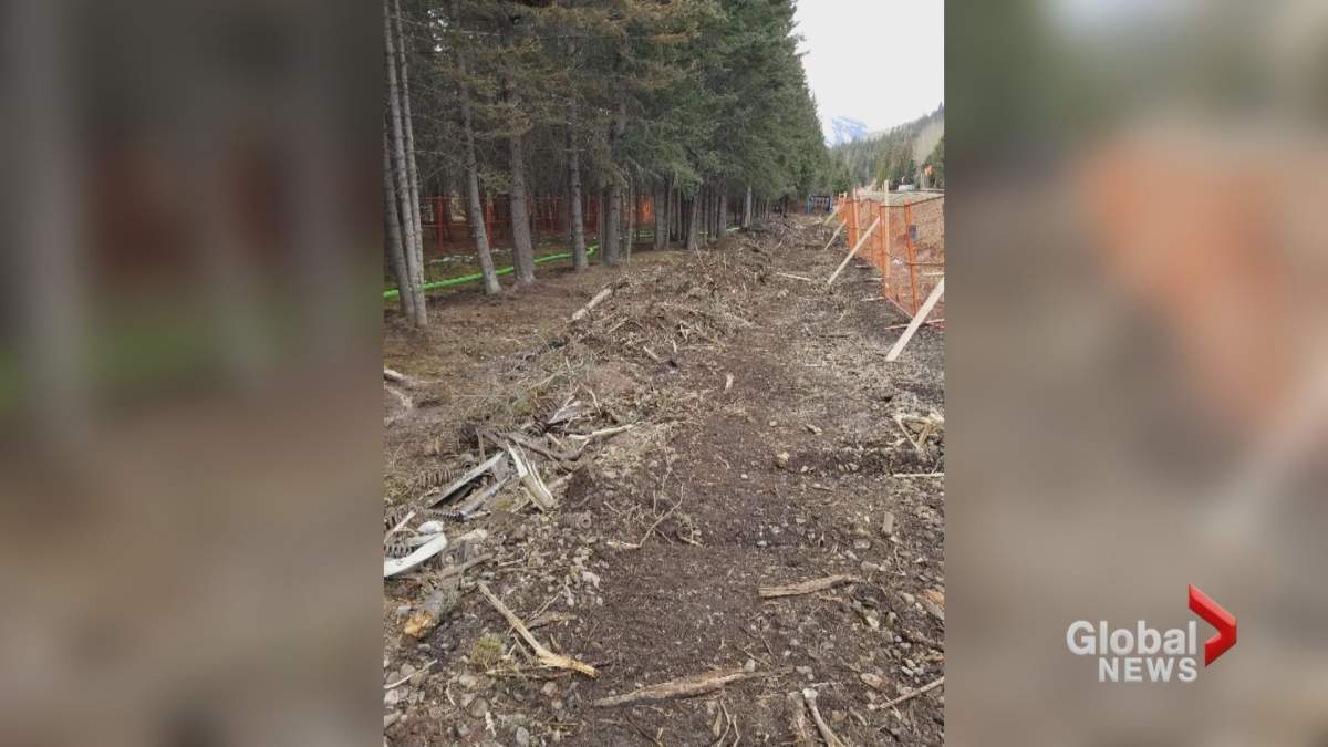 A look inside a fenced enclosure at the site of a CP Rail train derailment in Banff National Park.