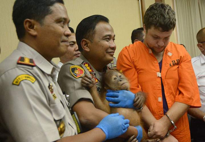 Andrei Zhestkov stands near a police officer holding an orangutan during a press conference at Ngurah Rai Airport near Denpasar on March 25, 2019.