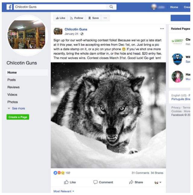 A Facebook post advertising the “wolf-whacking” contest being held by Chilcotin Guns in Williams Lake, B.C.