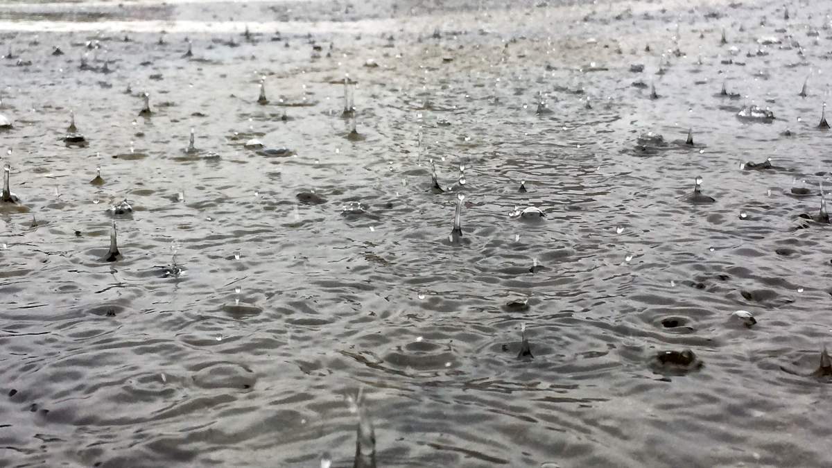 Otonabee Conservation has issued a flood watch for the Peterborough region.