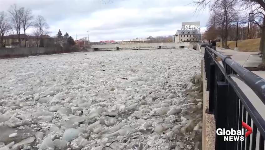 Conservation authority issues flood warning, watch across Grand River watershed - image