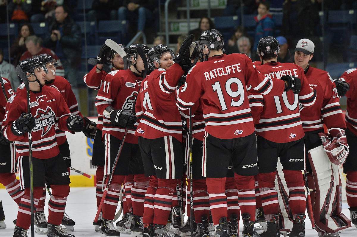 Guelph Storm of the Ontario Hockey League.