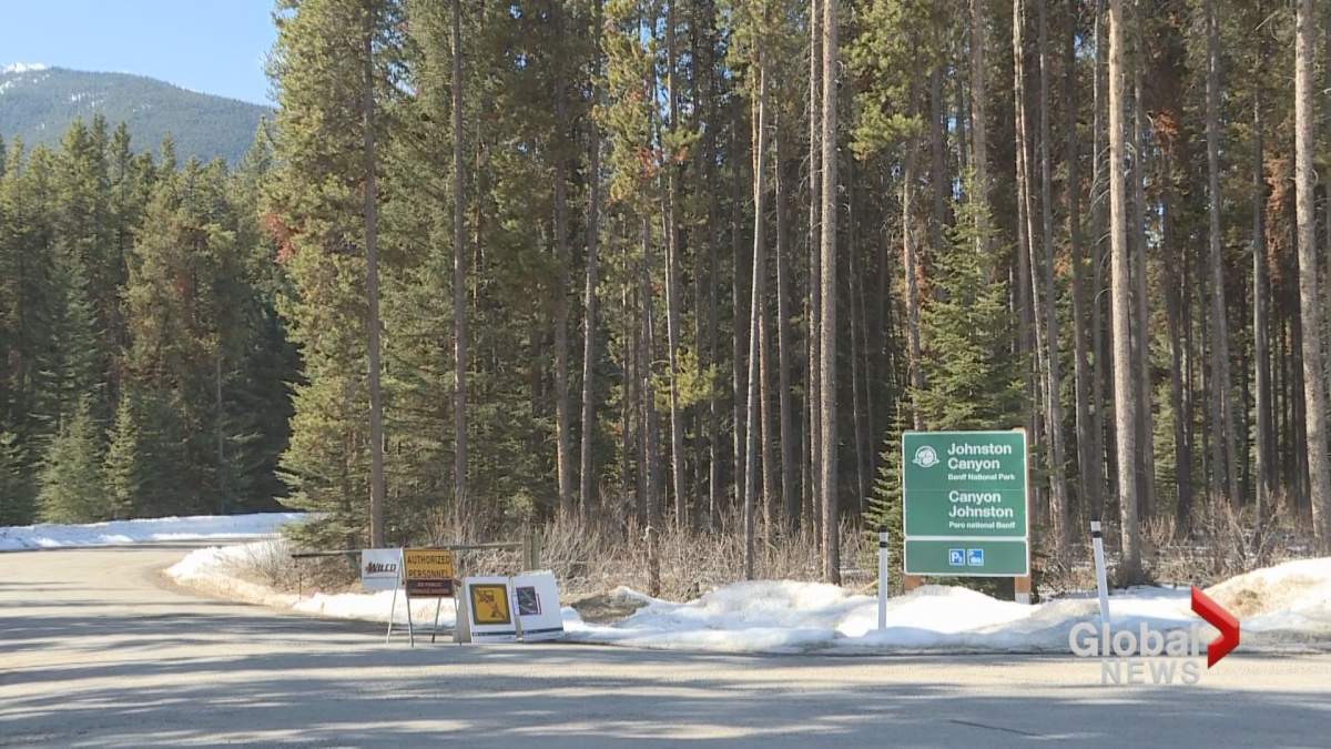 A closure sign is seen at one of the entrances to Johnston Canyon on March 29, 2019.