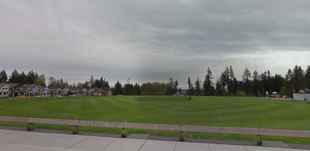 Police said the alleged assault happened in West Newton Community Park on Feb. 22. 