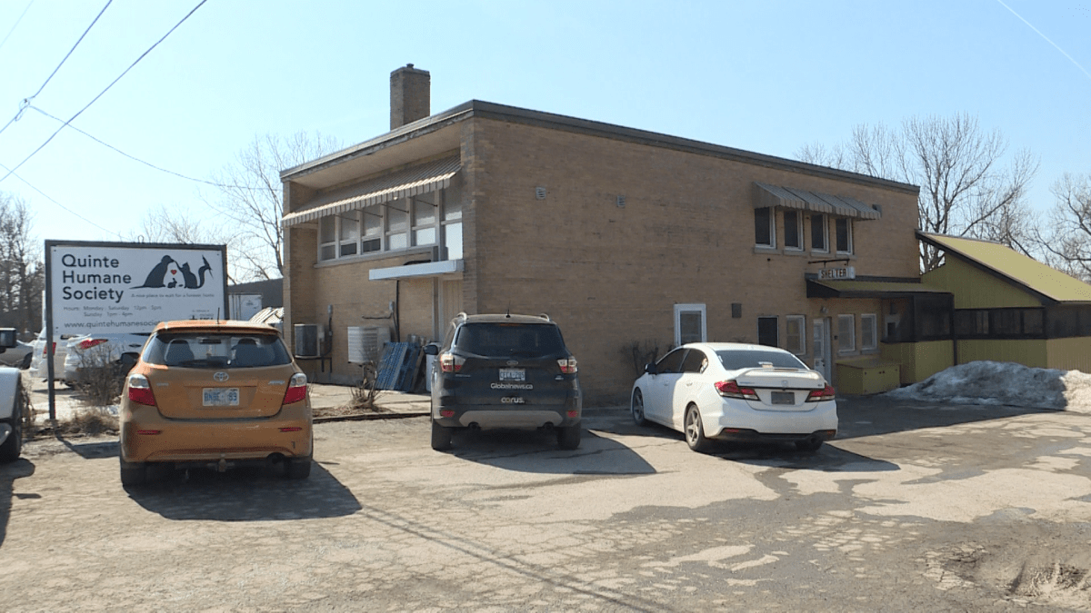 The Quinte Humane Society is sending its thanks to the City of Quinte West after council approved a $1 million low-interest loan to build a new animal care and adoption centre.