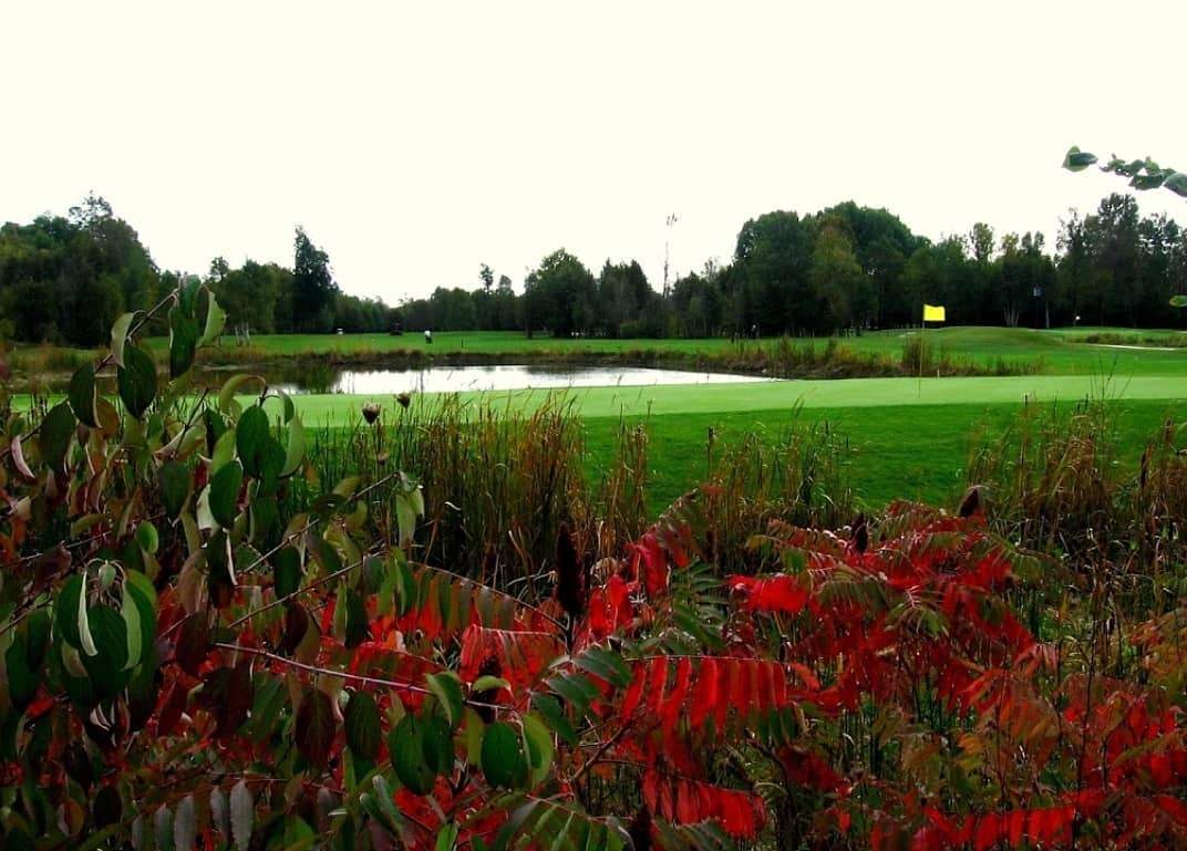 An image of the Rolling Greens Golf Club. The cannabis-themed course is scheduled to open this spring.