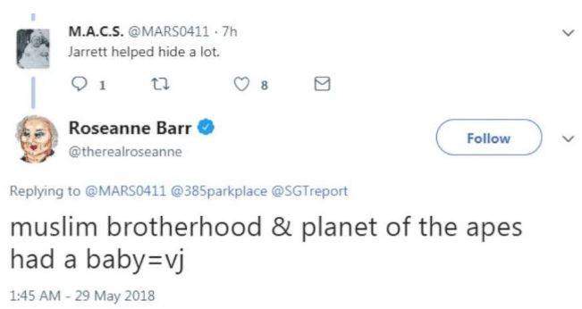 Roseanne Barr: Coronavirus a conspiracy to ‘get rid of my generation’ - image