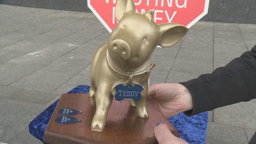 The Teddy Award gifted to the province of B.C. by the Canadian Tax Federation for several examples of misspent taxpayer dollars.