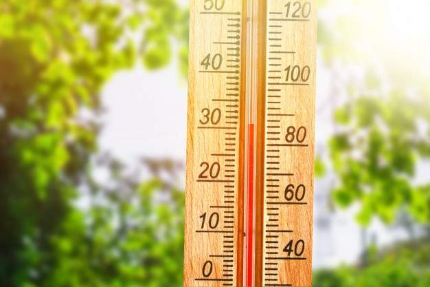 With the humidex making it feel like 40 C in London, weather experts are predicting this could be the hottest week of the summer for London and southwestern Ontario.