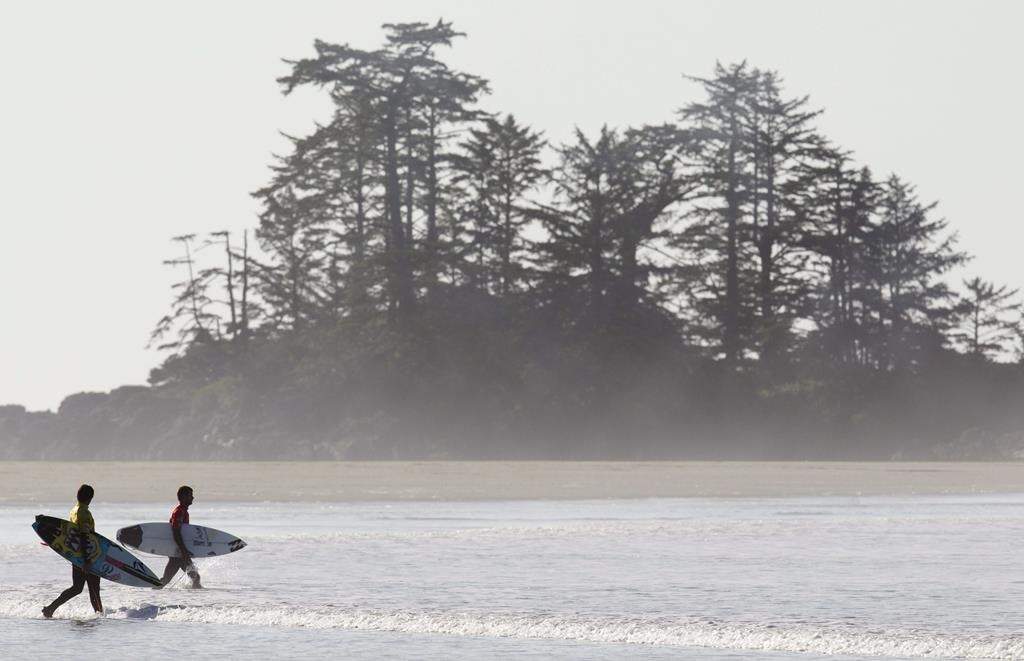 Surfers head into the water in Tofino, B.C. Wednesday, Oct. 13, 2010. 