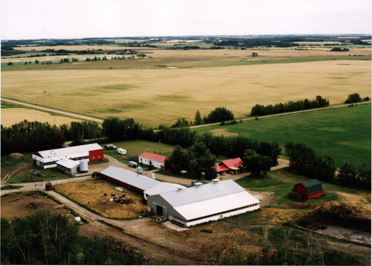 The Van Gogh’s dairy farm pictured near Busby, Alberta in 2003.