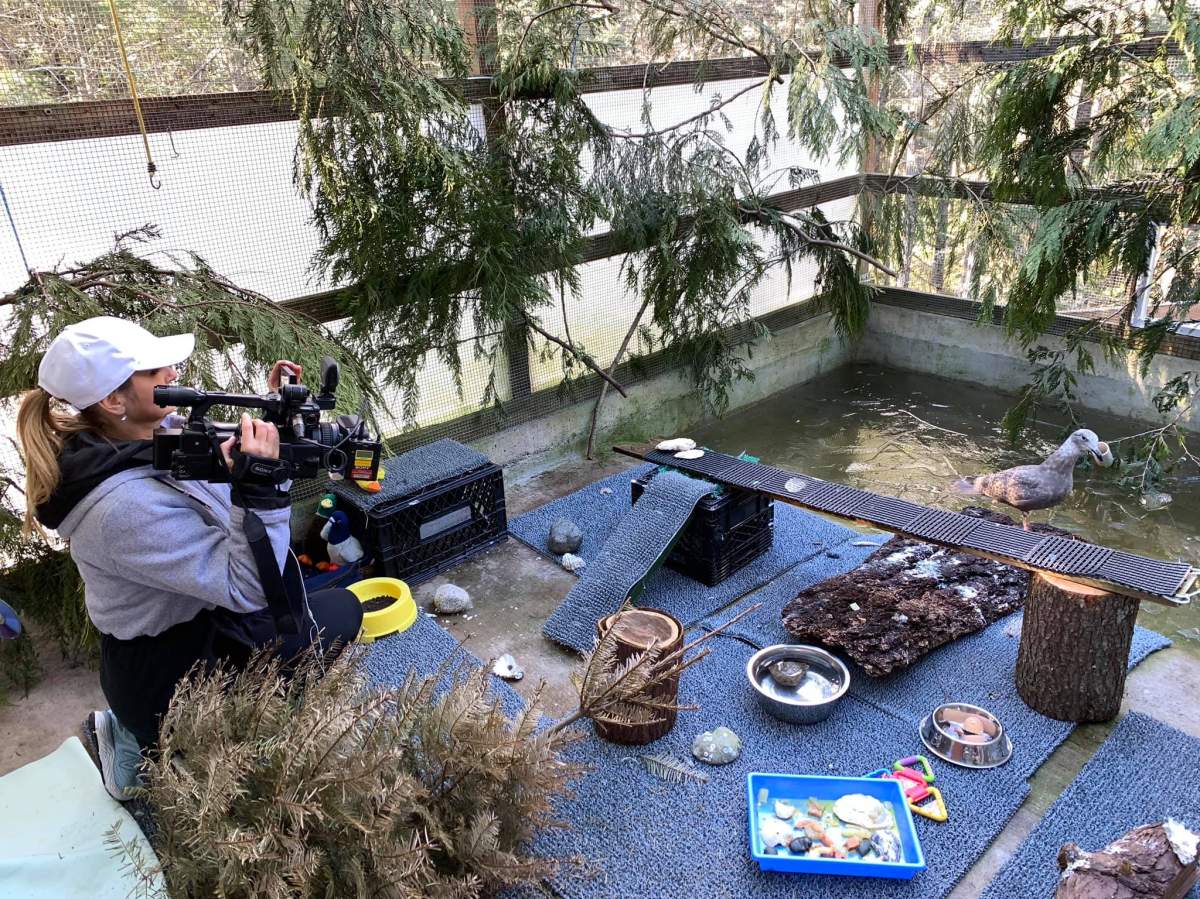 Global Okanagan got a rare, behind-the-scenes look at the work done at Wild ARC.