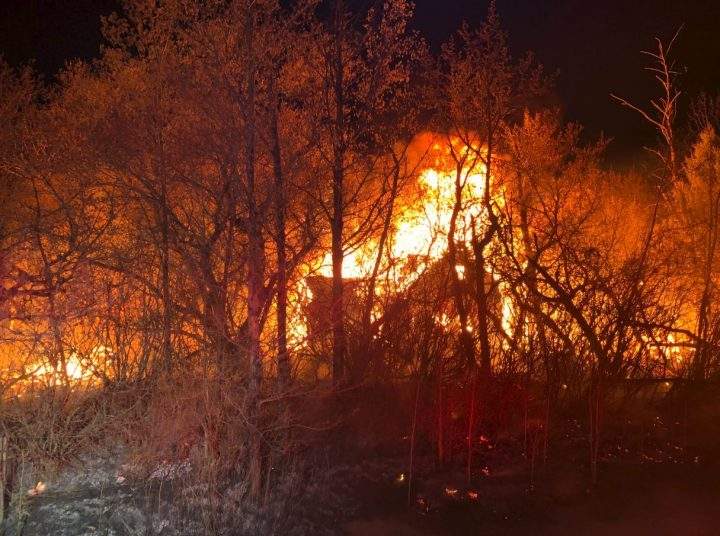 Spring snow storm conditions made fighting a fire in Strathcona County difficult April 27, 2019.