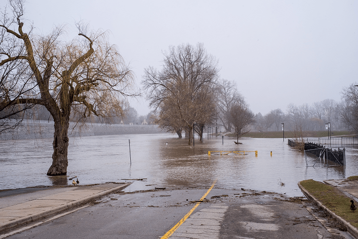 The Thames River continues to breech its banks in Harris Park as the elevated water levels make they way down river in London, Ont. on April 17, 2018.