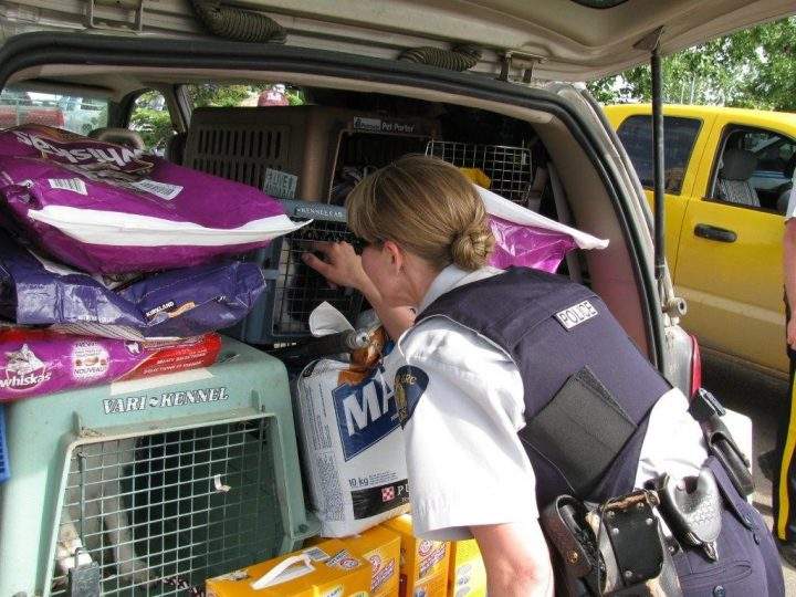 Pet evacuation supplies after the 2013 flood in High River, Alta.