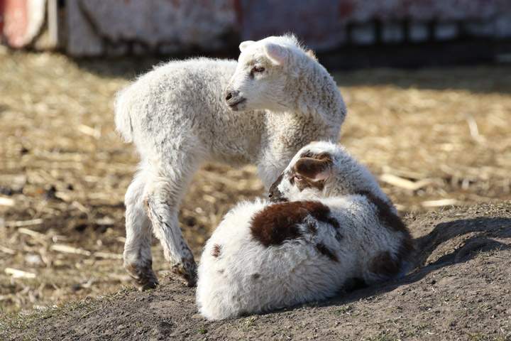 The Your Saskatchewan photo for April 22 was taken by Brenda Gawluk near Saskatoon.