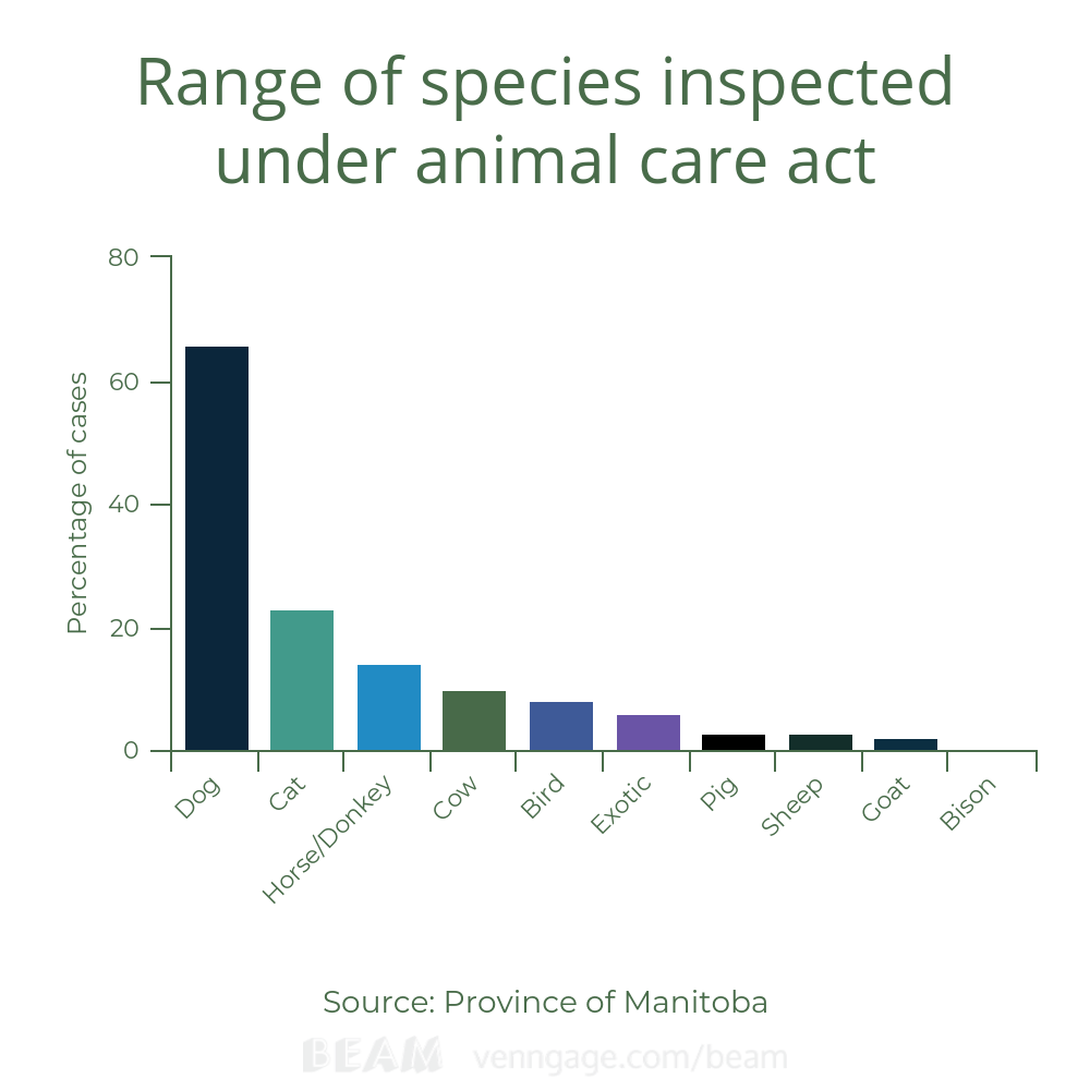‘It’s terrible’: High numbers of canine abuse reports nothing new, says Manitoba dog rescue - image