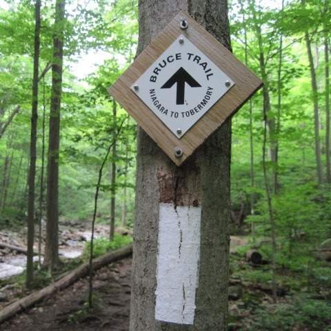 Hamilton police are investigating after a female jogger reported a sexual assault on the Bruce Trail. 