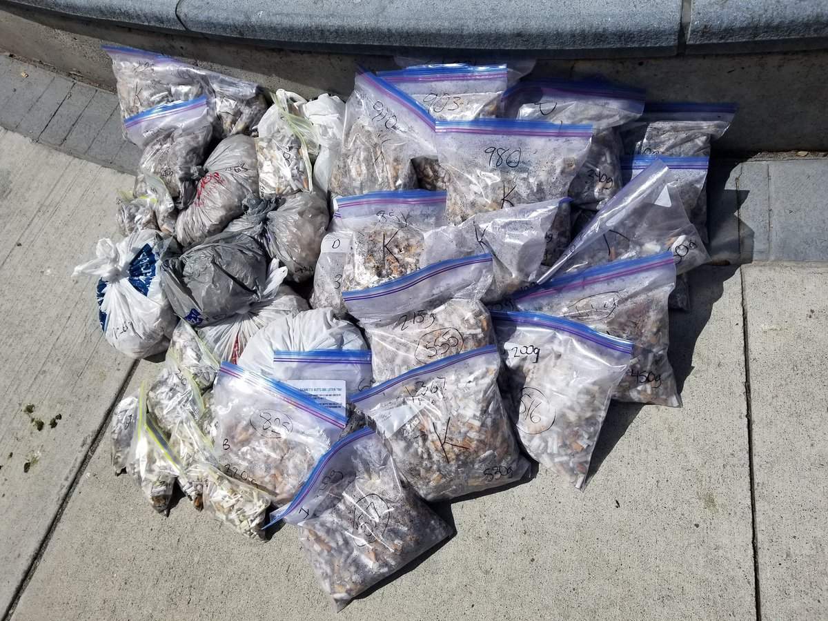 The city of Hamilton's one-day 'Butt Blitz' saw some 37,000 cigarette ends collected in the downtown area.