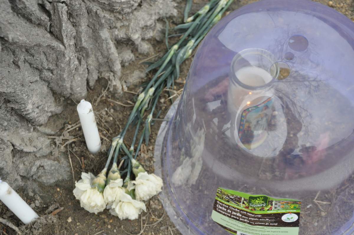 A candle burns Friday at a small memorial near where Tamara Azolas died.