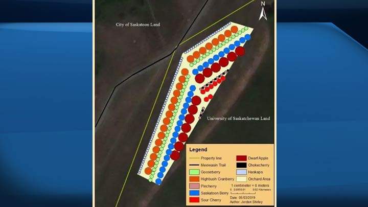 The proposed fruit orchard community project in Saskatoon.