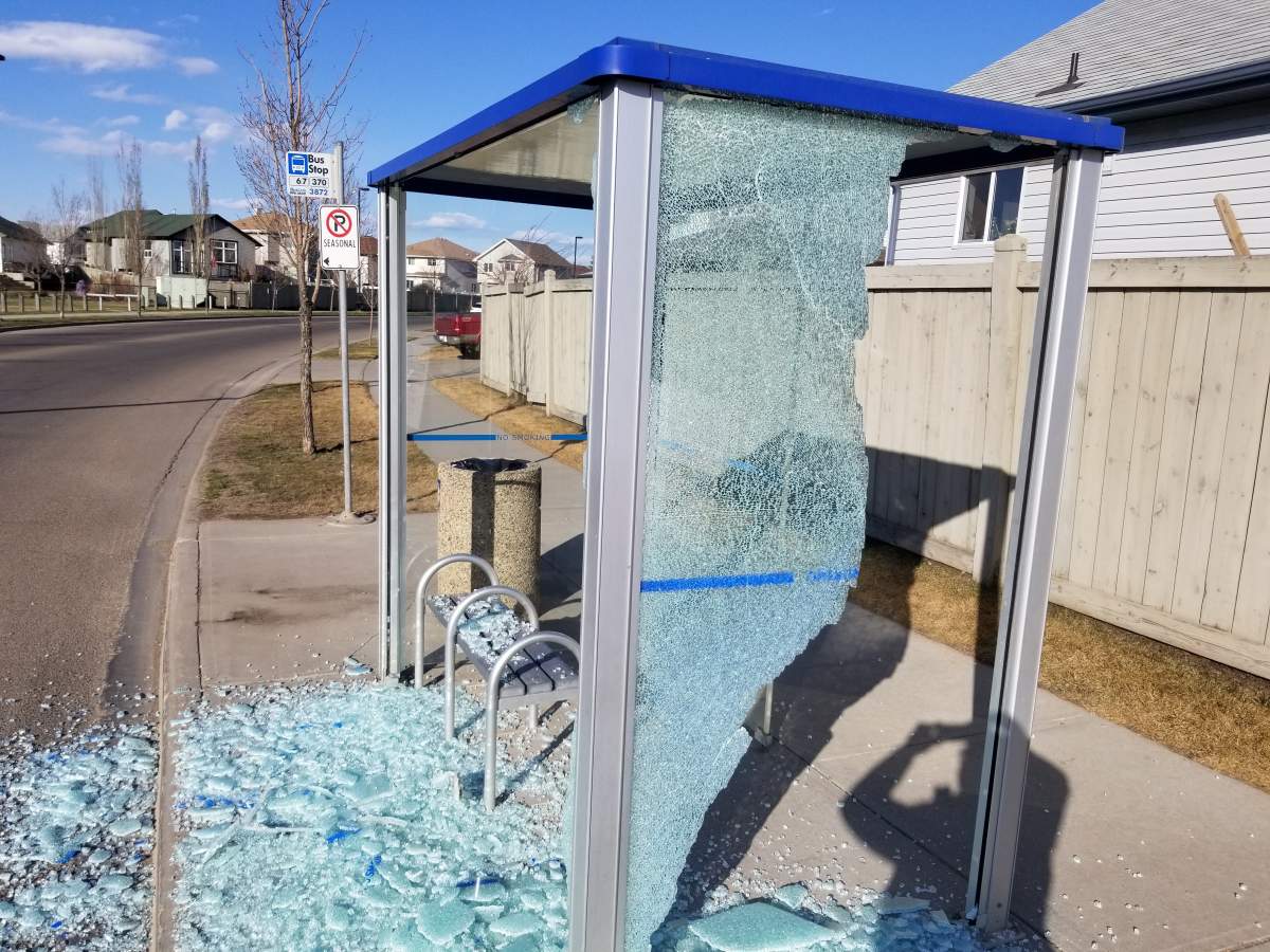 A 17-year-old boy has been charged in connection with the alleged vandalism of several Edmonton bus shelters.