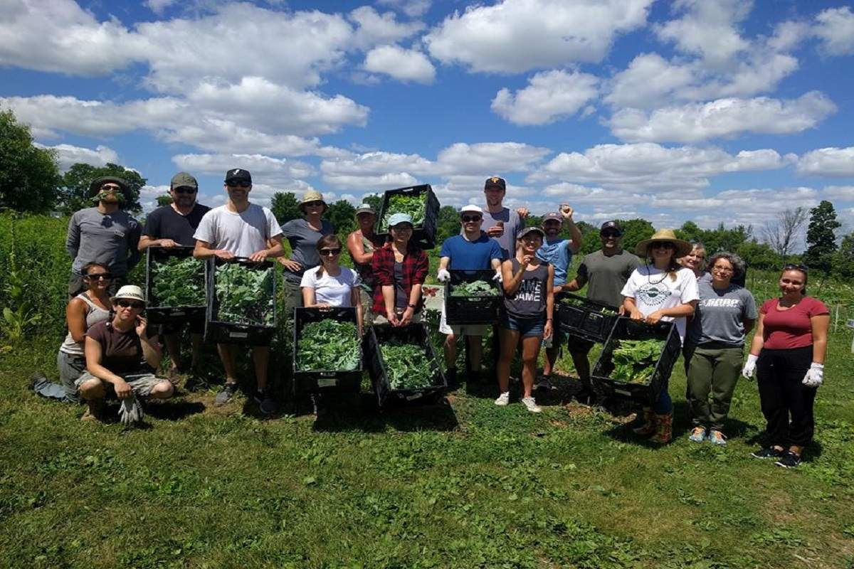 Staff and volunteers from the Cambridge Food Bank and Spring Bank Garden show of their harvest at the rare Charitable Research Reserve.