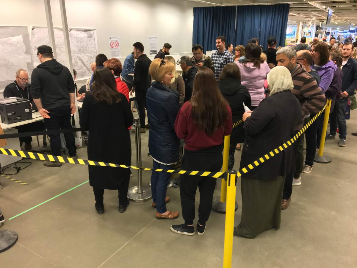 Dozens of people wait in line at Ikea to vote in advance polls ahead of the Alberta election.