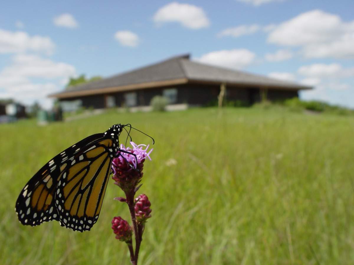 Living Prairie Museum.