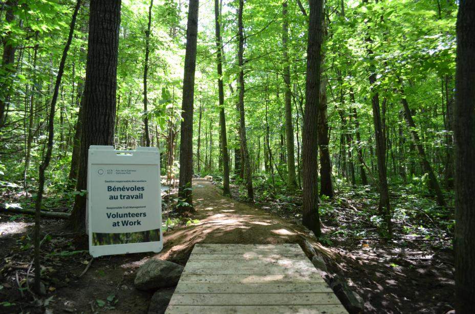 Right now, the number of unofficial trails in Gatineau Park exceeds the total number of official ones.