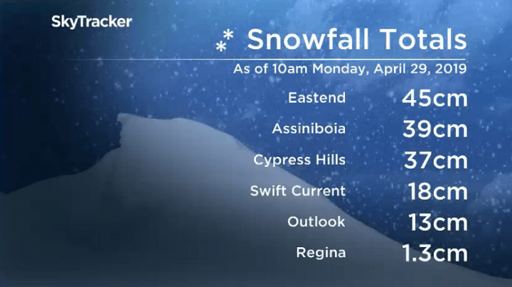 Nearly half a metre of snow fell in parts of southwest Saskatchewan during the final weekend of April.