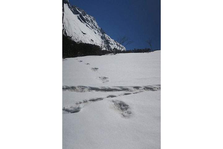 Footprints are seen in the snow near Makalu Base Camp in Nepal, in this picture taken on April 9, 2019.