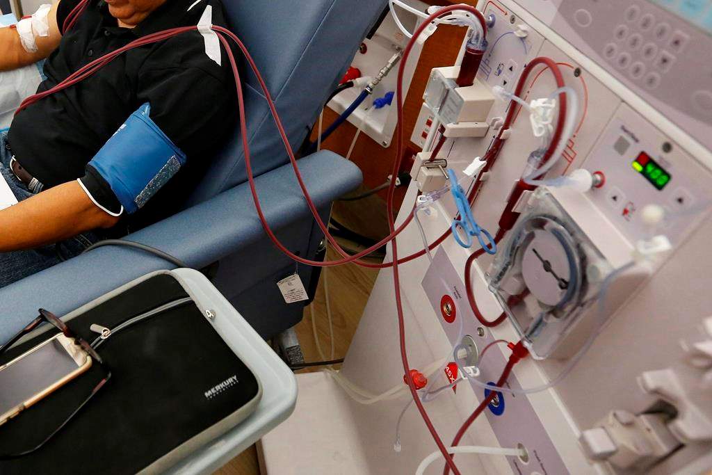 The Manitoba government has pledged $300,000 to expand access to kidney dialysis in northern Manitoba.