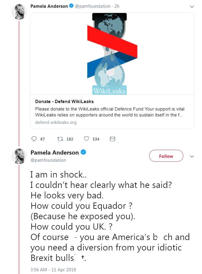 Pamela Anderson posts series of tweets lamenting Julian Assange arrest - image