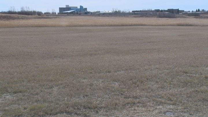 The 4,400-square-metre orchard will be home to a variety of fruit-bearing trees and shrubs.