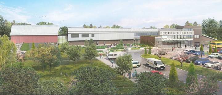 A rendering of the new Toronto Wildlife Centre.