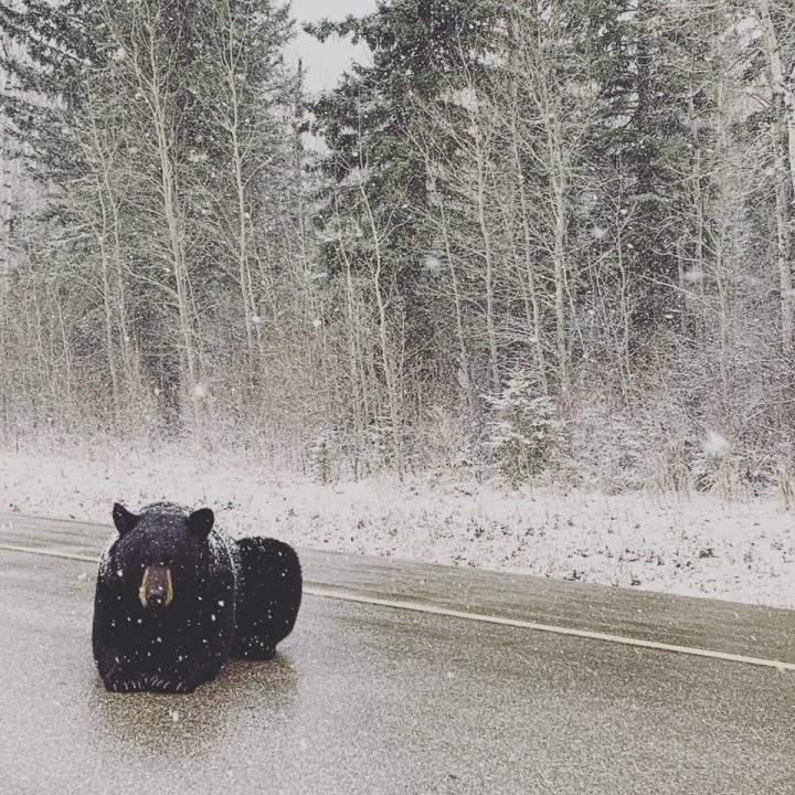 Brandon McCallum took the May 18 Your Saskatchewan photo in Green Lake.