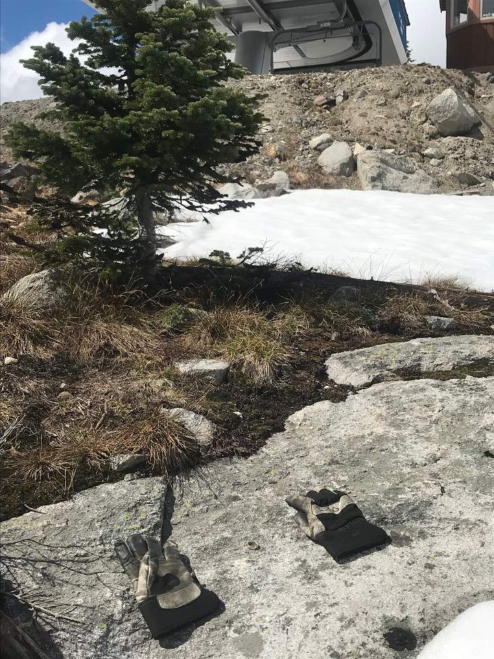 Another view of where the lost wedding ring was found.