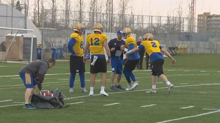 Winnipeg Blue Bombers gearing up for 1st exhibition game - image